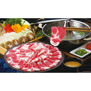 Y؂ԂԁiZbgjyzy͂snFkCEEz/  ʔ v[g Mtg Ε  /