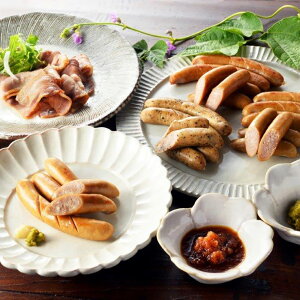 kC Dyoiot[Y  n Mtg 5 lߍ킹 nyz /  ʔ v[g Mtg Ε  /