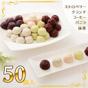 アイス アイスクリーム 横濱浪漫館 チョコアイスボール セット 5種計50個 チョコレート いちご【送料無料】/ 大容量 スイーツ 洋菓子 お取り寄せ 通販 プレゼント ギフト お中元 おすすめ /