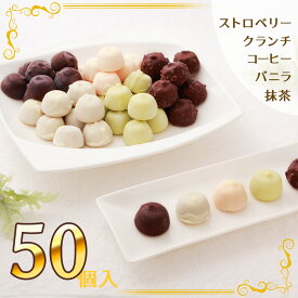 アイス アイスクリーム 横濱浪漫館 チョコアイスボール セット 5種計50個 チョコレート いちご【送料無料】/ 大容量 スイーツ 洋菓子 お取り寄せ 通販 プレゼント ギフト お歳暮 おすすめ /