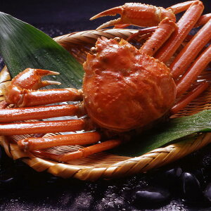 {C 킢Ɏp 750g×1t YCKj I.Jj Ɂyz /  ʔ v[g Mtg Ε  /