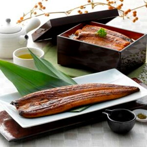 ȂB   120g×2 Ȃ Ă Vyz /  ʔ v[g Mtg Ε  /