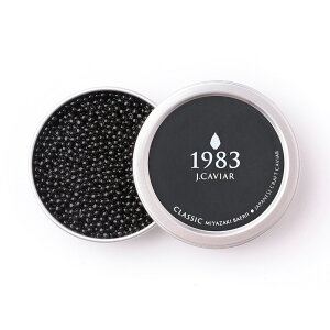 1983 J.CAVIAR oG NVbN (50g) LrAyz /  ʔ v[g Mtg  /