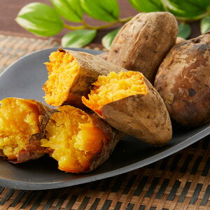 S Jawa Ă 500g×4  C Ăyz /  ʔ v[g Mtg Ε  /