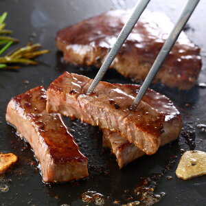 F{Y a Xe[L v550g yz /  ʔ v[g Mtg Ε  /