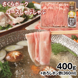 |[N[XԂ400g+||Zbg ؓ lyz /  ʔ v[g Mtg  /