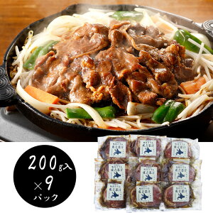 kC tWMXJ200g×9 r yz /  ʔ v[g Mtg  /