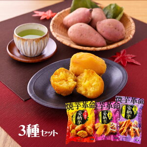 S Ĉv 3Zbg Ă Tc}Cyz /  ʔ v[g Mtg Ε  /