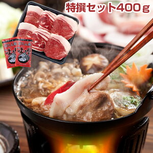 YVR ڂ Zbg400g Zbgyz /  ʔ v[g Mtg Ε  /