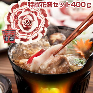 YVR ڂ ԐZbg400g Zbgyz /  ʔ v[g Mtg Ε  /