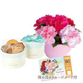 【パンダグッズ対象商品】母の日 プレゼント 早割 ポイント10倍 2024 花 お菓子 パティスリー キハチ アソートBOXとカーネーション アレンジ A40-7 生花 フラワーギフト 洋菓子 焼菓子【送料無料】ギフト おすすめ _81025