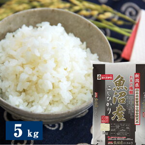 ߘa7NxY VYЂ 5kg ď̂ āyzy10{珇oח\z /  ʔ v[g Mtg Ε  /