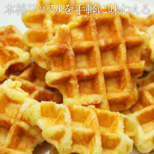 yz 󂠂 xM[bt1kg iv[jiSM00010008j 퉷 /XC[c mَq َq  ʔ v[g Mtg Ε  /