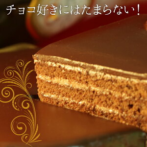 yz f̃Ubnge iSM00010095j / `R[g XC[c mَq P[L a َq  ʔ yY j v[g Mtg  /