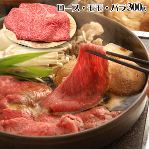 쉮 ߍ]₫ [XEEo300g yz /  ʔ v[g Mtg Ε  /