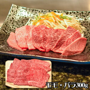  쉮 ߍ]ݏē yz /  ʔ v[g Mtg  /