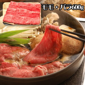  쉮 ߍ]₫ Eo600g yz /  ʔ v[g Mtg Ε  /