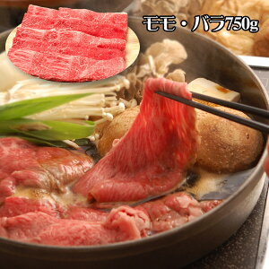  쉮 ߍ]₫ Eo750g yz /  ʔ v[g Mtg Ε  /