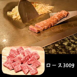  쉮 ߍ]ЂƂXe[L yz /  ʔ v[g Mtg Ε  /