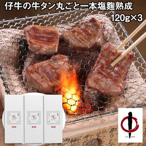 {E w e̋^ۂƈ{n ^yz /  ʔ v[g Mtg Ε  /