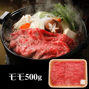  JAЂ ˋ₫p yz /  ʔ v[g Mtg Ε  /