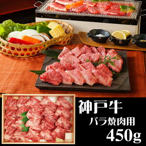  RWHi _ˋoēp450g yz /  ʔ v[g Mtg  /