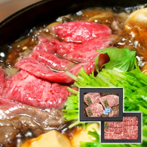  I[uXe[L&Ă yz /  ʔ v[g Mtg Ε  /