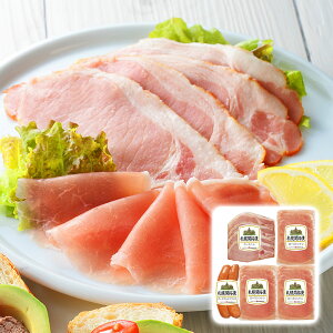 kC Dyoion DyJgnI[huZbg nMtgyz /  ʔ v[g Mtg Ε  /