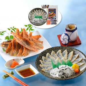 ւƂ{X ӂӎރZbg  tOyz /  ʔ v[g Mtg  /