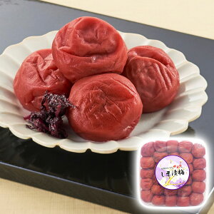 a̎R IB݂Ȃׂ̓썂~ Д~ ~ ~yz /  ʔ v[g Mtg Ε  /