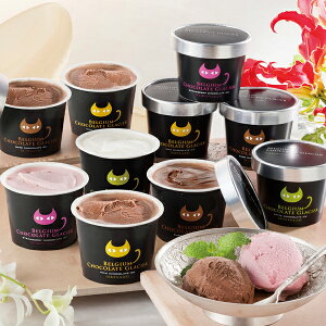 アイス ギフト 濃厚本場チョコレートアイス【送料無料】イーペルの猫祭り ベルギーチョコレートグラシエ(アイス職人)10個入 AH-BCGR【離島不可】ベルギーチョコ / 猫 cat お取り寄せ 通販 お土産 お祝い プレゼント ギフト 母の日 おすすめ /