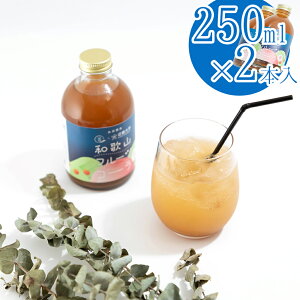 a̎Rt[cR[  250mL×2{ \tghN   XpCXyzy͂snFkCEEz 퉷 /  ʔ v[g Mtg  /