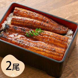 四万十うなぎ 蒲焼2尾セット【送料無料】【二重包装不可】