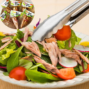 T_Zbgy͂snFkCEkEEzyz 퉷 / y YHi m  ʔ yY j v[g Mtg Ε 