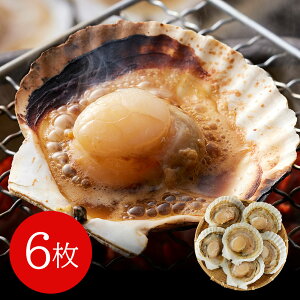 kCY ЊL 6(50g×6) L z^eyz /  ʔ v[g Mtg Ε  /