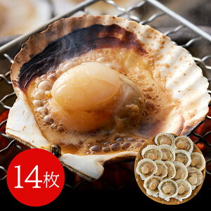 kCY ЊL 14(75g×14) L z^eyz /  ʔ v[g Mtg Ε  /