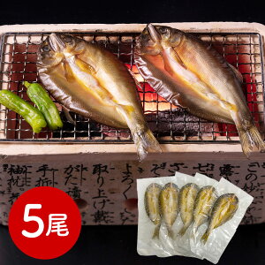  nƖ10N L 銱5 ay A yz /  ʔ v[g Mtg  /