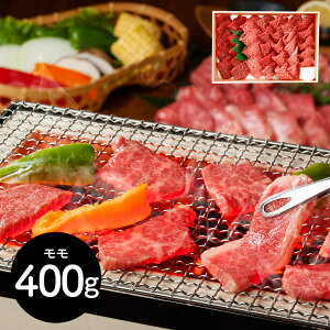  RWHi ߍ]ēp  yz /  ʔ v[g Mtg Ε  /