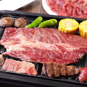 RWHi BBQZbg  ؓ lyz /  ʔ v[g Mtg Ε  /