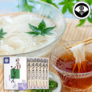 ×߂ ST-20 480g sgp ɍ ˗ Hcyz 퉷  ʔ v[g Mtg  /