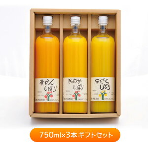 a̎RYi 100%sAW[X750ml 3{MtgZbg(݂W[X)yzy͂snFkCEEzyv~Aa̎RYWz 퉷 /  ʔ v