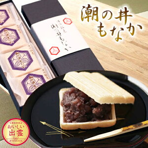 出雲市銘菓 和菓子 潮の井もなか 8ヶ入×3セット【送料無料】 常温 / お取り寄せ 通販 プレゼント ギフト お歳暮 おすすめ /