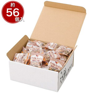 |V ibctBbV NFN-35 4204-060 ܂݁yz /  ʔ v[g Mtg Ε  /