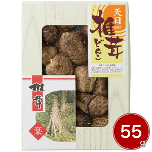 BYVǂ񂱒ő 55g TS-20 4252-059  yz /  ʔ v[g Mtg Ε  /