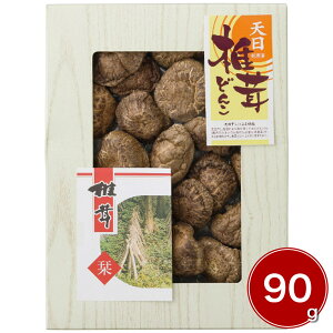 BYVǂ񂱒ő 90g TS-30 4252-061  yz /  ʔ v[g Mtg Ε  /