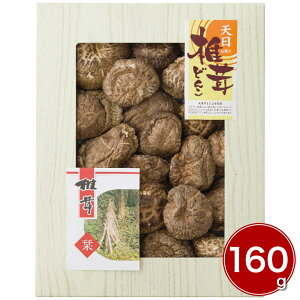 BYVǂ񂱒ő 160g TS-50 4252-073  yz /  ʔ v[g Mtg Ε  /