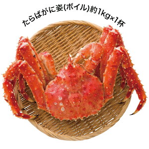 kCԑY {C΂Ɏp 1kg×1t AP-008 4009-030  Jjyz /  ʔ v[g Mtg  /