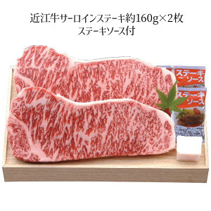 琬 ߍ] T[CXe[L 160g×2 SEN-481 4267-012  T[Cyz /  ʔ v[g Mtg Ε  /