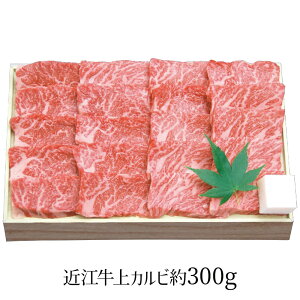 琬 ߍ] Jrē 300g SEN-351 4267-036  Jryz /  ʔ v[g Mtg  /