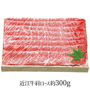 琬 ߍ] [XԂ 300g SEN-261 4267-086  [Xyz /  ʔ v[g Mtg Ε  /